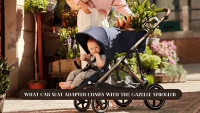 What Car Seat Adapter Comes with the Gazelle Stroller