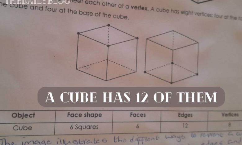 A Cube Has 12 of Them